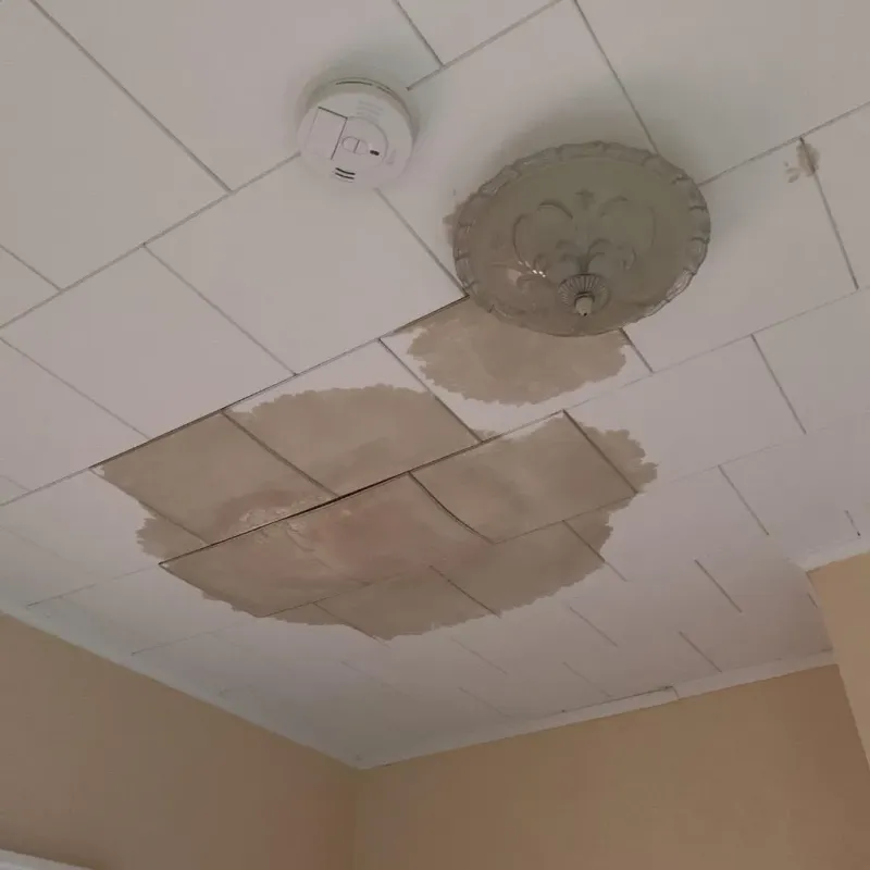 Ceiling Water Damage Repair in North Weeki Wachee, FL